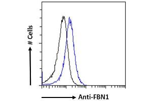 ABIN570798 Flow cytometric analysis of paraformaldehyde fixed Jurkat cells (blue line), permeabilized with 0. (Fibrillin 1 抗体  (Internal Region))
