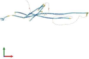 AlphaFold protein structure predicition of Mouse Recombinant Rnf40 Protein, UniprotID Q3U319