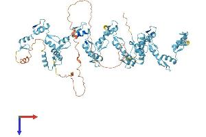 Protein Structure (PS) image for Zinc Finger Protein 425 (ZNF425) (AA 1-752) protein (His tag) (ABIN7545464)