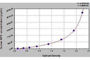 Typical Standard Curve (MPZ ELISA 试剂盒)