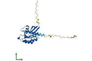 Protein Structure (PS) image for RAB3A, Member RAS Oncogene Family (RAB3A) (AA 1-220) protein (His tag) (ABIN7551207)