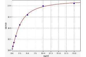 DLG4 ELISA 试剂盒