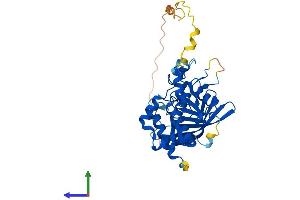 Protein Structure (PS) image for Protein tyrosine Phosphatase, Non-Receptor Type 7 (PTPN7) (AA 1-359) protein (His tag) (ABIN7558902)