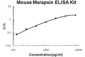 Mouse Marapsin/Pancresin PicoKine ELISA Kit standard curve (PRSS27 ELISA 试剂盒)