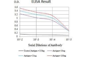 Black line: Control Antigen (100 ng),Purple line: Antigen (10 ng), Blue line: Antigen (50 ng), Red line:Antigen (100 ng) (BTLA 抗体  (AA 31-157))
