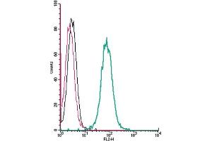 Cell surface detection of P2X4 Receptor by direct flow cytometry in live intact human  monocytic leukemia cells: + Rabbit IgG isotype control-PE.