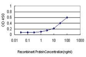 Detection limit for recombinant GST tagged KLK10 is approximately 1ng/ml as a capture antibody. (Kallikrein 10 抗体  (AA 167-276))