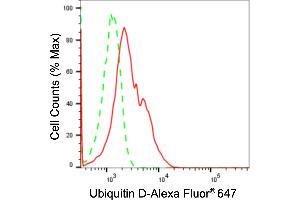 anti-Ubiquitin D (UBD) antibody