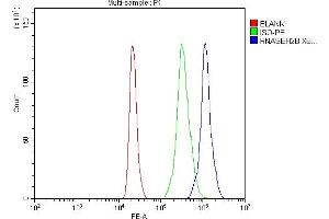 Flow Cytometry analysis of HL-60 cells using anti-RNASEH2B antibody (ABIN7601572). (RNASEH2B 抗体  (AA 39-260))