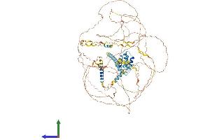 Protein Structure (PS) image for Serine/arginine Repetitive Matrix 1 (SRRM1) (AA 1-946) protein (His tag) (ABIN7563792)