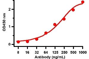 ELISA Validation with SARS-CoV-2 (COVID-19) Spike RBD Recombinant ProteinAntibodies: SARS-CoV-2 (COVID-19) Spike RBD antibody, ABIN6952968 (1 μg/mL). (SARS-CoV-2 Spike 抗体  (RBD))