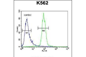 Flow cytometric analysis of K562 cells (right histogram) compared to a negative control cell (left histogram). (hCG_2024410 (AA 187-215), (C-Term) 抗体)
