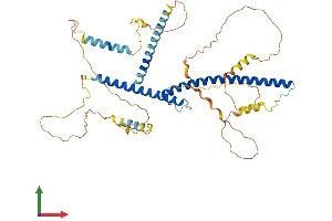 AlphaFold protein structure predicition of Human Recombinant TFEB Protein, UniprotID P19484