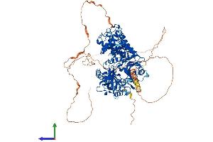 AlphaFold protein structure predicition of Human Recombinant LIG1 Protein, UniprotID P18858