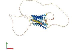 Protein Structure (PS) image for Solute Carrier Family 39 (Zinc Transporter), Member 7 (SLC39A7) (AA 1-469) protein (His tag) (ABIN7545903)