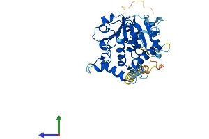 Protein Structure (PS) image for ST6 (Alpha-N-Acetyl-Neuraminyl-2,3-beta-Galactosyl-1,3)-N-Acetylgalactosaminide alpha-2,6-Sialyltransferase 6 (ST6GALNAC6) (AA 1-333) protein (His tag) (ABIN7546056)
