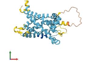 Protein Structure (PS) image for Solute Carrier Family 25 (Mitochondrial Carrier), Member 18 (SLC25A18) (AA 1-315) protein (His tag) (ABIN7547897)