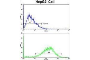 Flow Cytometry (FACS) image for anti-Nucleotide Exchange Factor SIL1 (SIL1) antibody (ABIN3003781) (SIL1 抗体)
