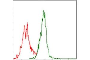 Flow Cytometry (FACS) image for anti-Argininosuccinate Synthase 1 (ASS1) antibody (ABIN1845465) (ASS1 抗体)