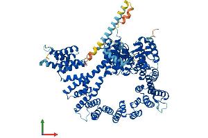Protein Structure (PS) image for N(alpha)-Acetyltransferase 15, NatA Auxiliary Subunit (NAA15) (AA 1-866) protein (His tag) (ABIN7554660)