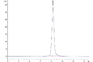 Size-exclusion chromatography-High Pressure Liquid Chromatography (SEC-HPLC) image for Leukocyte Immunoglobulin-Like Receptor, Subfamily A (With TM Domain), Member 4 (LILRA4) (AA 24-446) protein (His-Avi Tag,Biotin) (ABIN7275180)