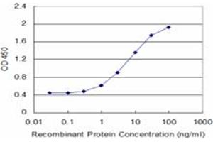 Detection limit for recombinant GST tagged BID is approximately 0. (BID 抗体  (AA 1-195))
