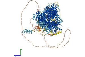 Protein Structure (PS) image for DIP2 Disco-Interacting Protein 2 Homolog A (DIP2A) (AA 1-1523) protein (His tag) (ABIN7564447)