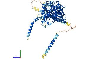 Protein Structure (PS) image for Chondroitin Sulfate N-Acetylgalactosaminyltransferase 1 (CSGALNACT1) (AA 1-530) protein (His tag) (ABIN7558705)