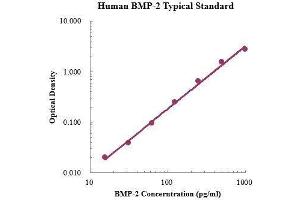 ELISA image for Bone Morphogenetic Protein 2 (BMP2) ELISA Kit (ABIN3198505)