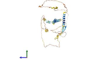 Protein Structure (PS) image for Immediate Early Response 5-Like (IER5L) (AA 1-406) protein (His tag) (ABIN7560298)