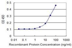 Detection limit for recombinant GST tagged MSH2 is 1 ng/ml as a capture antibody. (MSH2 抗体  (AA 835-934))