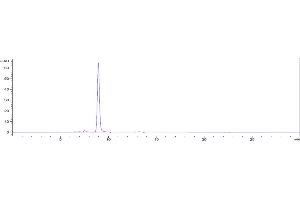 The purity of Anti-TIGIT Reference Antibody (etigilimab) is 95. (Recombinant TIGIT (Etigilimab Biosimilar) 抗体)