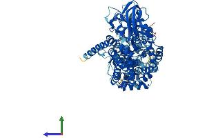 Protein Structure (PS) image for Acyl-CoA Dehydrogenase Family, Member 11 (ACAD11) (AA 1-780) protein (His tag) (ABIN7551923)