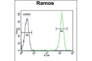 Flow cytometric analysis of Ramos cells (right histogram) compared to a negative control cell (left histogram). (CMTM7 抗体  (N-Term))