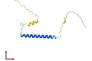 Protein Structure (PS) image for Chromosome 19 Open Reading Frame 53 (C19ORF53) (AA 1-99) protein (His tag) (ABIN7548846)