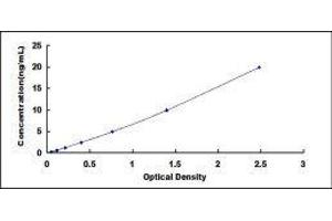 Typical standard curve (Caspase 9 ELISA 试剂盒)