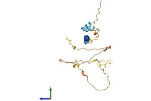 AlphaFold protein structure predicition of Mouse Recombinant Lurap1 Protein, UniprotID Q9D6I9