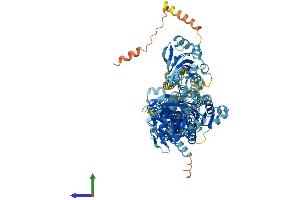 Protein Structure (PS) image for ATPase, Ca++ Transporting, Type 2C, Member 2 (ATP2C2) (AA 1-946) protein (His tag) (ABIN7552436)