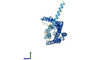 AlphaFold protein structure predicition of Mouse Recombinant Olfr180 Protein, UniprotID Q7TS48 (Olfr180 Protein (AA 1-317) (His tag))