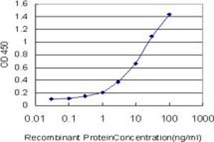 Detection limit for recombinant GST tagged NNT is approximately 0. (NNT 抗体  (AA 1-207))