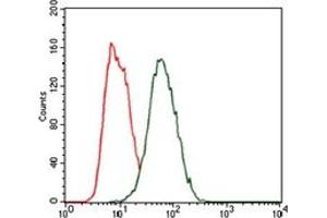 Flow Cytometry (FACS) image for anti-Hexosaminidase A (HEXA) antibody (ABIN1105521) (Hexosaminidase A 抗体)
