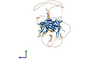 Protein Structure (PS) image for Stonin 1 (STON1) (AA 1-730) protein (His tag) (ABIN7559264)