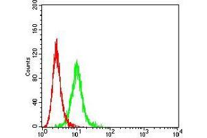 Flow cytometric analysis of K562 cells using CD104 mouse mAb (green) and negative control (red). (Integrin beta 4 抗体  (AA 29-206))