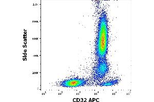 Flow cytometry surface staining pattern of human peripheral whole blood stained using anti-human CD32 (3D3) APC antibody (10 μL reagent / 100 μL of peripheral whole blood). (Fc gamma RII (CD32) 抗体 (APC))