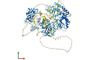 Protein Structure (PS) image for Helicase-Like Transcription Factor (HLTF) (AA 1-1009) protein (His tag) (ABIN7554094)