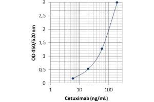 Image no. 2 for Cetuximab Specific ELISA Kit (ABIN5012829)