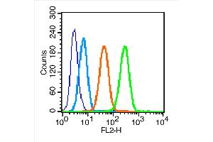 MCF7 cells were incubated in 5% BSA blocking buffer for 30 min at room temperature. (FSHR 抗体  (AA 21-100))
