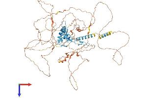 GLIS1 Protein (AA 1-789) (His tag)