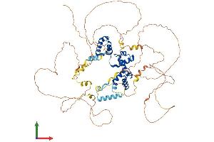 Protein Structure (PS) image for V-Myb Myeloblastosis Viral Oncogene Homolog (Avian)-Like 2 (MYBL2) (AA 1-704) protein (His tag) (ABIN7563326)