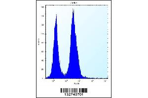 Flow cytometric analysis of Jurkat cells (right histogram) compared to a negative control cell (left histogram). (SSR2 抗体  (C-Term))